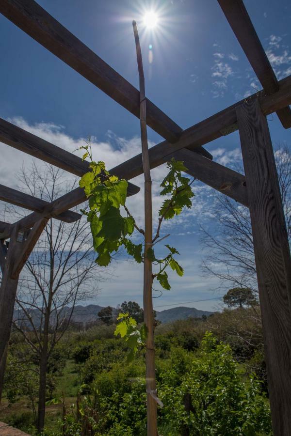 Fuego Blanco Bed and Breakfast Alora Esterno foto